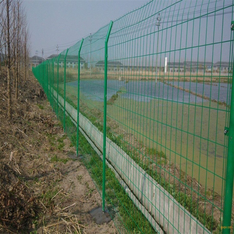 上海鱼塘防护铁丝网图片2