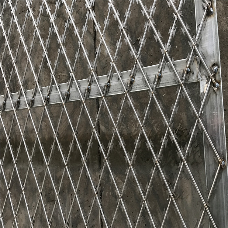 上海监狱刀刺钢网墙图片1