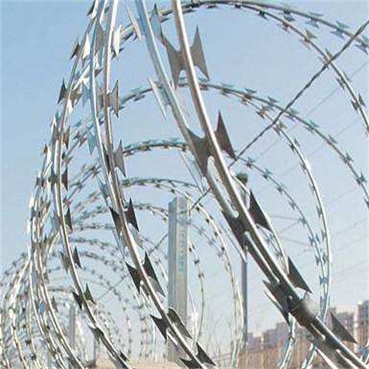 上海带刺围墙网图片2