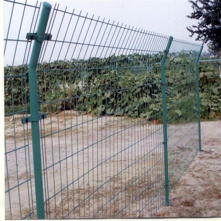 双边丝护栏网立柱图片2