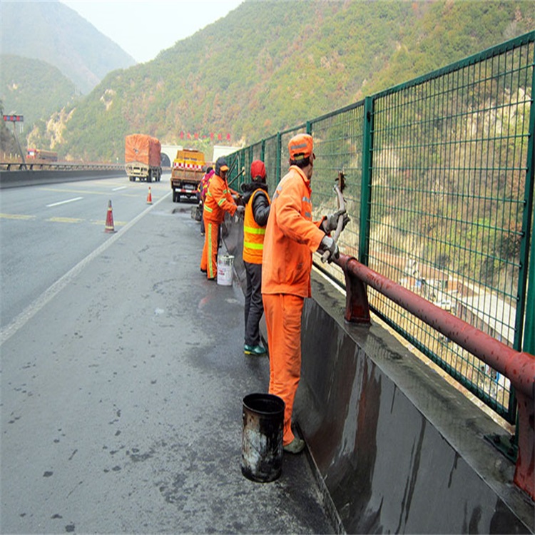 公路桥梁护栏图片1