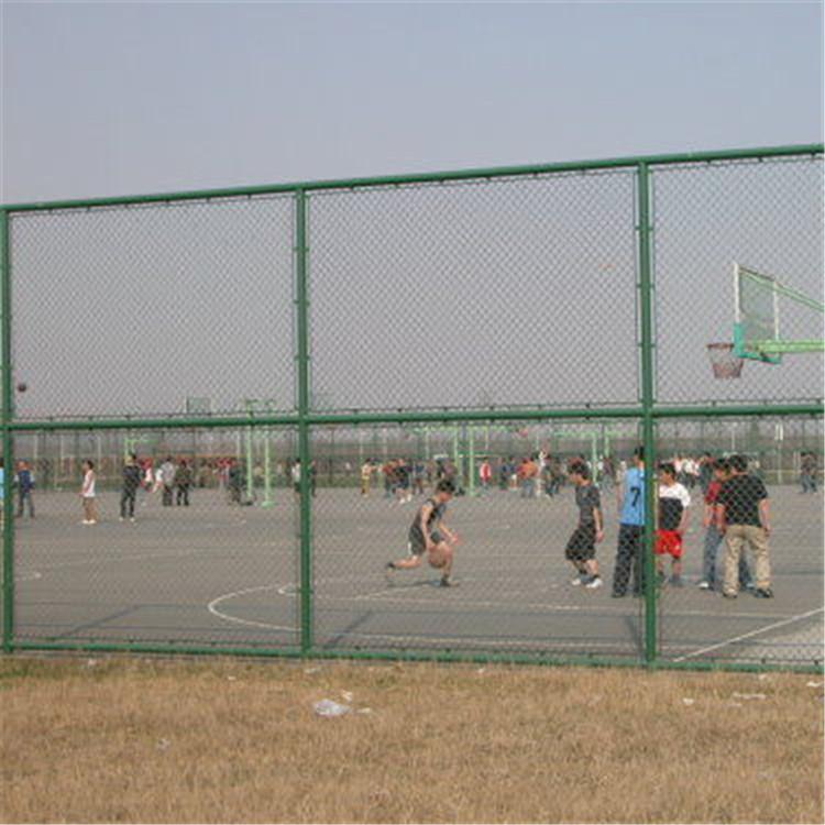 组装型球场围网