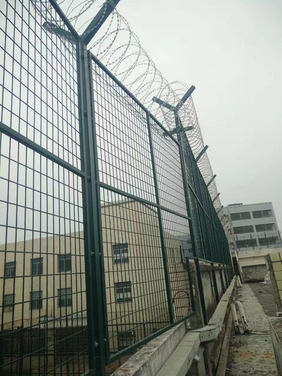 上海监狱刀刺隔离网图片4