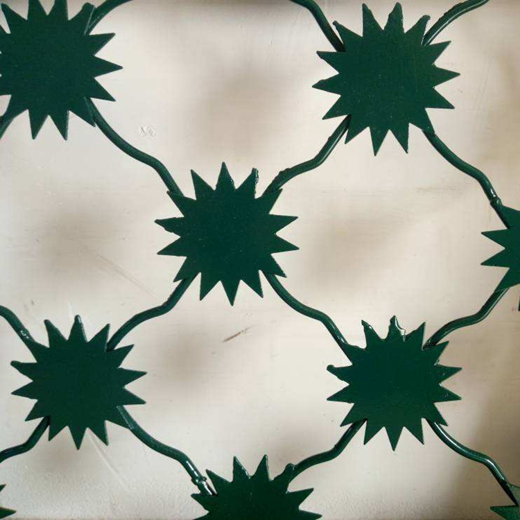 监狱梅花刺片钢网墙图片3