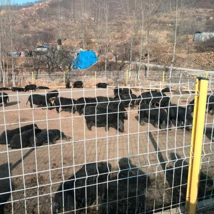 菜园果园围养殖围栏防牲畜护栏网