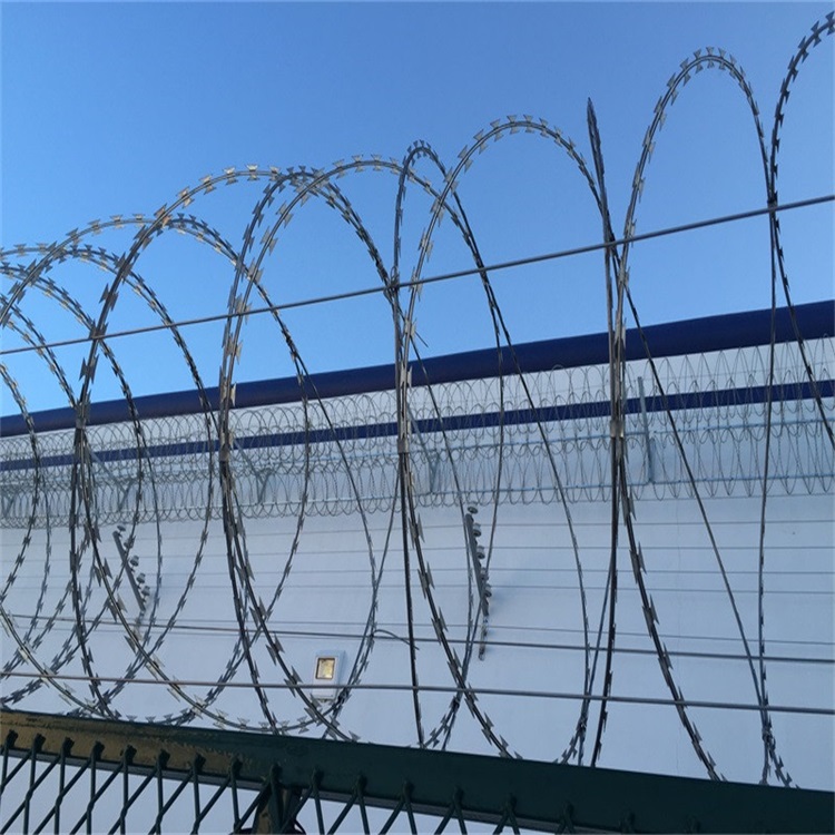 上海蛇腹型刀刺网图片3