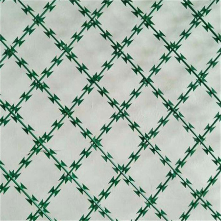 上海监狱焊接刀刺网图片2